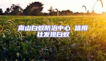 南山白蟻防治中心 信用社發(fā)現(xiàn)白蟻