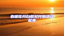 春暖花開白蟻又開始活動起來