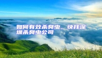 如何有效殺臭蟲,快找深圳殺臭蟲公司