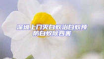 深圳上門滅白蟻治白蟻預(yù)防白蟻除四害