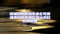 深圳白蟻防治專業(yè)公司深圳殺白蟻專業(yè)公司認識白蟻的危害