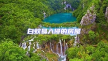白蟻易入侵的房屋