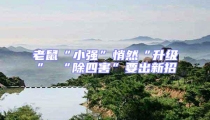 老鼠“小強(qiáng)”悄然“升級(jí)” “除四害”要出新招