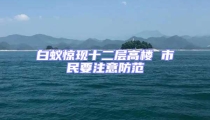 白蟻驚現十二層高樓 市民要注意防范