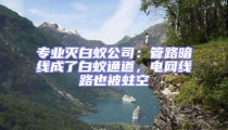 專業(yè)滅白蟻公司:管路暗線成了白蟻通道,電網(wǎng)線路也被蛀空