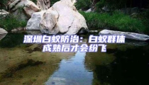 深圳白蟻防治:白蟻群體成熟后才會紛飛