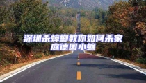 深圳殺蟑螂教你如何殺家庭德國小蠊