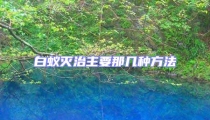 白蟻滅治主要那幾種方法