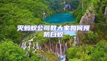 滅螞蟻公司教大家如何預防白蟻