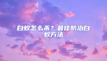 白蟻怎么殺?最佳防治白蟻方法