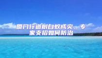 廈門行道樹白蟻成災,專家支招如何防治