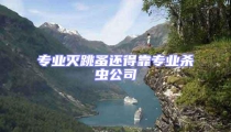 專業滅跳蚤還得靠專業殺蟲公司