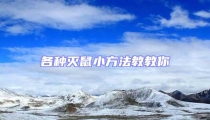 各種滅鼠小方法教教你