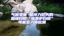 氣候變暖 破壞力巨大的超級白蟻“福莫薩白蟻”可能會入侵歐洲