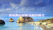 裝修的白蟻防治知識簡介