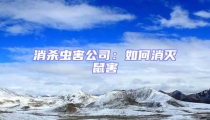 消殺蟲害公司:如何消滅鼠害