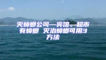 滅蟑螂公司—賓館、超市有蟑螂 滅治蟑螂可用3方法