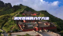 消滅蒼蠅的八個方法