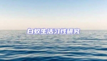 白蟻生活習性研究