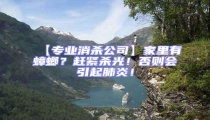 【專業消殺公司】家里有蟑螂?趕緊殺光!否則會引起肺炎!