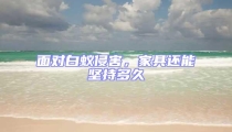 面對白蟻侵害,家具還能堅持多久