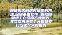 深圳飯店廚房滅蟑螂的方法,深圳殺蟲公司 看見隔壁樓主在說南方蟑螂大,其實南方還有個大蜘蛛專門吃這個大蟑螂的
