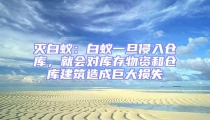 滅白蟻:白蟻一旦侵入倉庫,就會對庫存物資和倉庫建筑造成巨大損失