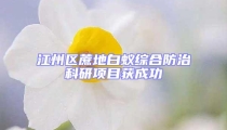 江州區蔗地白蟻綜合防治科研項目獲成功