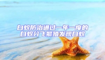 白蟻防治通過一年一度的白蟻分飛繁殖發現白蟻
