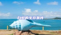 白蟻的生存條件