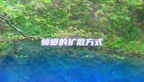 蟑螂的擴散方式