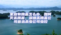 家庭有跳蚤怎么辦,如何滅殺跳蚤,深圳殺跳蚤公司首選殺蟲公司蟲控