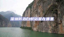 深圳防治白蟻站是在哪里