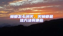 蟑螂怎么消滅,滅蟑螂最佳方法有哪些