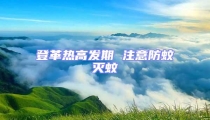 登革熱高發期 注意防蚊滅蚊