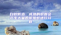 白蟻防治:成熟的蟻群會產生大量的繁殖蟻進行分群