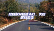 挖白蟻窩掛誘殺燈,滅白蟻效果佳