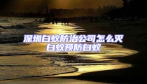 深圳白蟻防治公司怎么滅白蟻預防白蟻