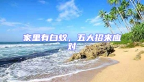 家里有白蟻,五大招來應對