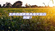 怎樣合理使用殺蟲滅鼠藥劑呢?
