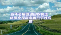 百年老屋遭遇白蟻襲擊 床腿全是窟窿眼幾乎蛀成渣