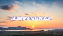 深圳白蟻雨后紛紛出動!