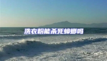 洗衣粉能殺死蟑螂嗎