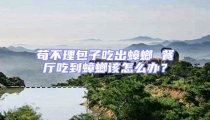 茍不理包子吃出蟑螂 餐廳吃到蟑螂該怎么辦?