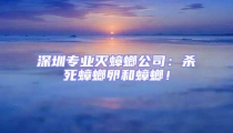 深圳專業滅蟑螂公司:殺死蟑螂卵和蟑螂!