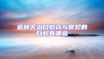 造林滅治白蟻藥與常見的白蟻有哪些