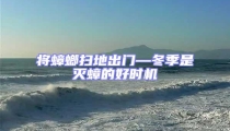 將蟑螂掃地出門—冬季是滅蟑的好時機