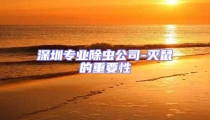 深圳專業除蟲公司-滅鼠的重要性