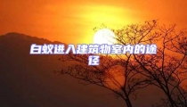 白蟻進入建筑物室內的途徑