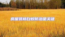 房屋裝修白蟻防治是關鍵